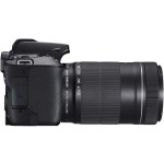 Canon EOS 250D + Canon EF-s 18-55mm f/4-5.6 IS STM Lens - Black